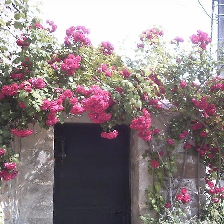 Les Maharanis Villa Moisenay Buitenkant foto
