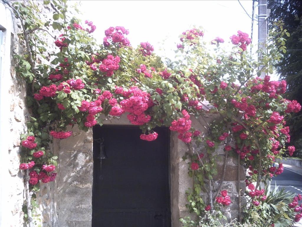 Les Maharanis Villa Moisenay Buitenkant foto